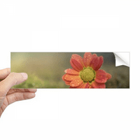 Tamnocrveni prekrasan cvjetovi pravokutni zaklopnik naljepnica za notebook naljepnica
