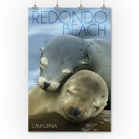 Plaža Redondo, Kalifornija, Morski lavovi se grle
