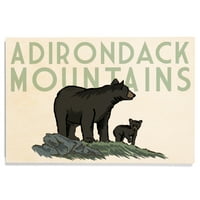 Mountains Adirondack, Crni medvjed i zidni zidni zid Cub Birch