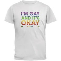Gay ponos u redu sam, ja sam gay New York bijela majica za odrasle - velika
