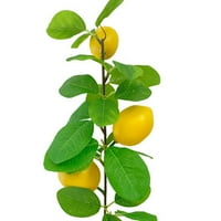 Limunski dekor lažni limuni Podružnica Žuta umjetna limunska stabljika Mala jednostruka grana za kuhinjsku