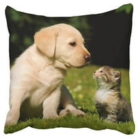 S slatki zlatni retriver Puppy jastuk jastuk