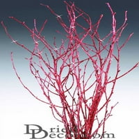 Bunch, crvene breze od breze za cvjetni displej ili središnji komad, buket, vijenac ili projekt ukrašavanja