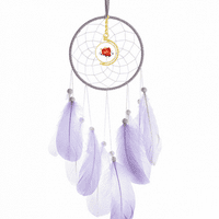 Banshee daub šareni festival zbir sa iz snova koji viseći dekor perja