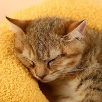 Plišani jastuk u obliku u obliku mačke mekani zubi brusni jastuk mačaka push palac Komforno za kućne