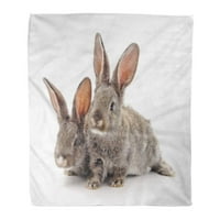 Bacanje pokrivača toplo ugodno print flanel smeđa Poljoprivreda dva siva zečeva beba udobna mekana za