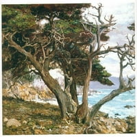 Monterey Cypress šljunčana plaža - platno ili fino štampana zidna umjetnost