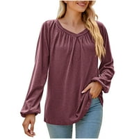 Ženski pulover dugih rukava Tunic vrhovi V-izrez Pleased casual labav bluza T košulje Spring Fall Lagan dukseri