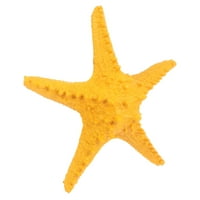 Simulacija Ocean Star Desktop Decoration Fotografija Prop za kućnu trgovinu