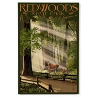 Redwoods State Park, jeleni i faunas breza zidni zid