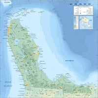 24x24in presvučeni papir Florida Topografska karta naopako