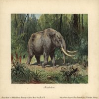 Mastodon, velika teška sisarna vrsta postera Print ® Florilegis Mary Evans