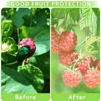 Torbe za zaštitu od voća, 6 '' × 8 'kozice za mrežice za mrlje od voćnih stabala za voćnu ploču s mrežnoj