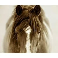 Poredanje, Lisa Crni moderni uokvireni muzej Art Print pod nazivom - Ghost konj