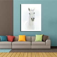 Bijelo konje ulje slikanje platno poster HD Ispis umjetničkih životinja Zidna slika UNFRAMENT Crtež ulja za dnevne sobe