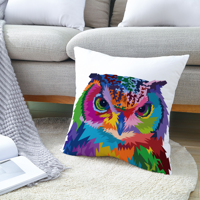 Rush Colorful Sažetak Umjetnički uzorak slatki kućni ljubimci bacaju jastučni poklopac kvadratni breskvi