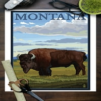 Montana, Bison scena