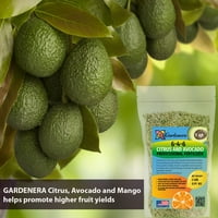 ⭐ Gardera 6-4- Citrus i avokado Profesionalno đubrivo - Kultivirajte živopisni citrusi i stabli za avokado sa stručnom ishranom - četvrt