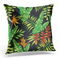 Egzotične tropske biljke i palmine banana list s jastog kandže cvjetne strelitzia na crnim ljetnim jastucima