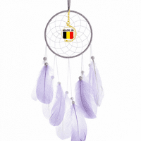 Belgija Country Love Dream CATCHER Wall Viseći dekor perja