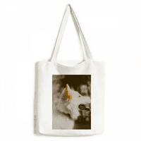 Bijeli pas kućni ljubimci Foto fotografije Tote platnene torbe za kupovinu Satchel casual torba