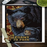 Državni park Allegeny, New York, Black Bear Mosaic