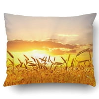 Zrela pšenica na sunčanom jastuk na jastuku
