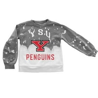 Omladinski gamedani Couture Grey Youngstown State Penguins FADED Crewneck Pulover Top