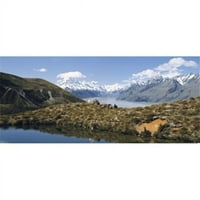 Konj Trekking MT Cook Novi Zeland Poster Print