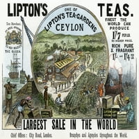 Oglas za čaj, 1896. Nfor Lipton's Cour's Reates na plantažama engleskog kompanije u Cejlonu. Poster