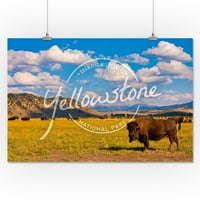 Nacionalni park Yellowstone, Bison, značka