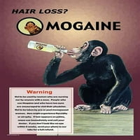 Majmun prekriven kosom podmetao upotrebu Rogaine-a, podmlatoru za gubitak kose dok pije iz velikog postera