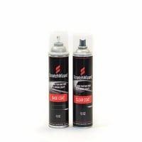 Automobilska dodirna boja za Lincoln Zephyr TS Touch Up Paint Kit Bruchwizard