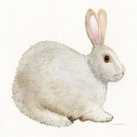 Spring Bunny IV Bijeli poster Print - Kathleen Parr McKenna