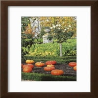 Pumpkin u vrtu, dvorca bašta, viljan, centar, francuska, uramljena umjetnost tiskana zidna umjetnost