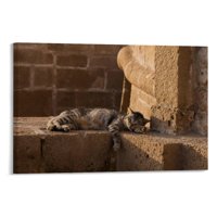 Panel set uokvirena platna zidna zgrada Zidni dekor, mačka počivala na zemljinu kućice horizontalne