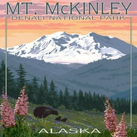 Nacionalni park Denali, Aljaska, Mount McKinley, medvjed i mladunci sa cvijećem