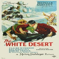 Bijela pustinja - filmski poster